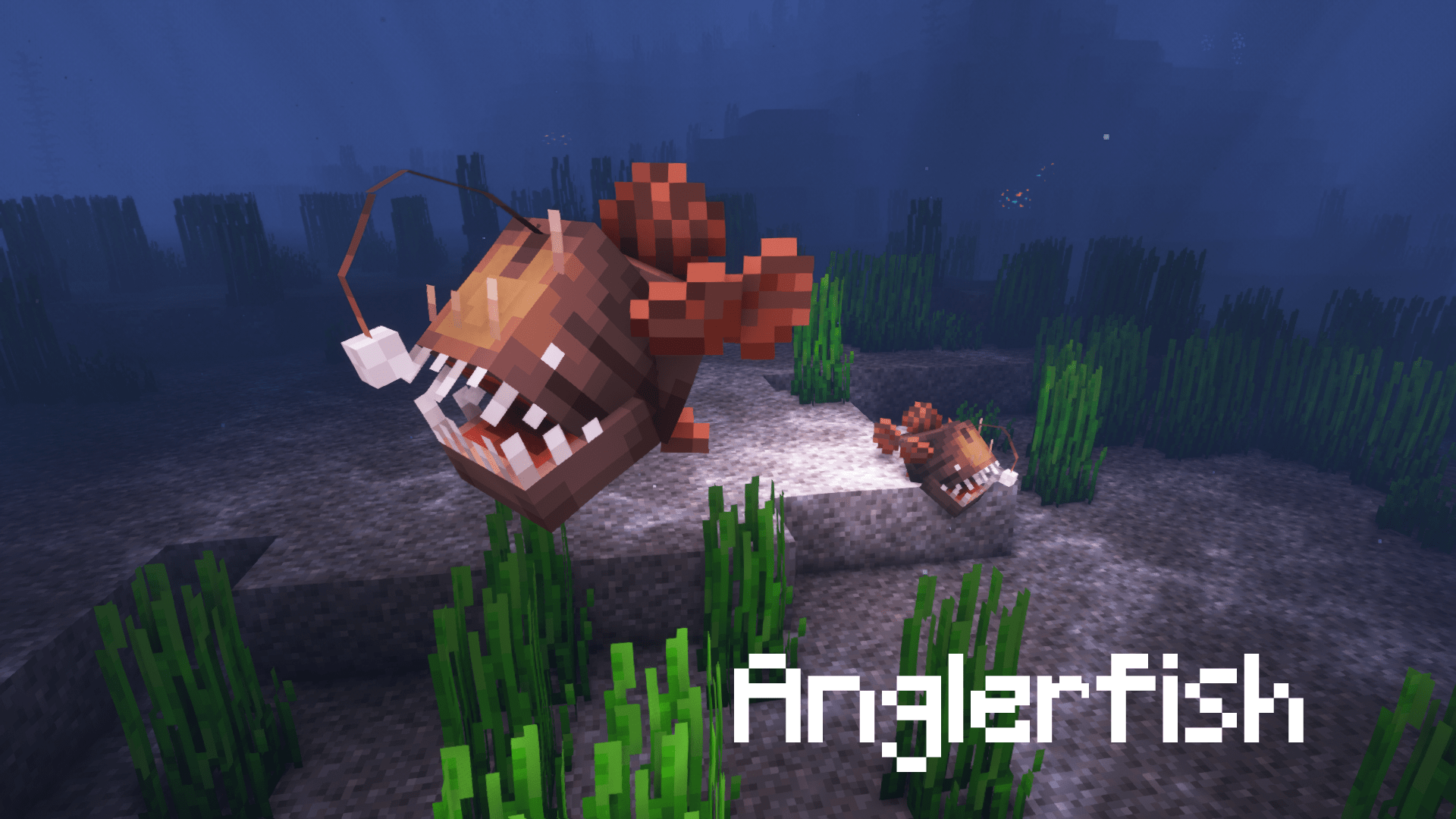 Thumbnail 12