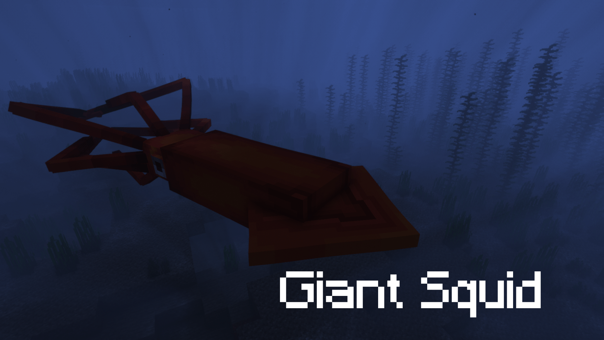 Thumbnail 13