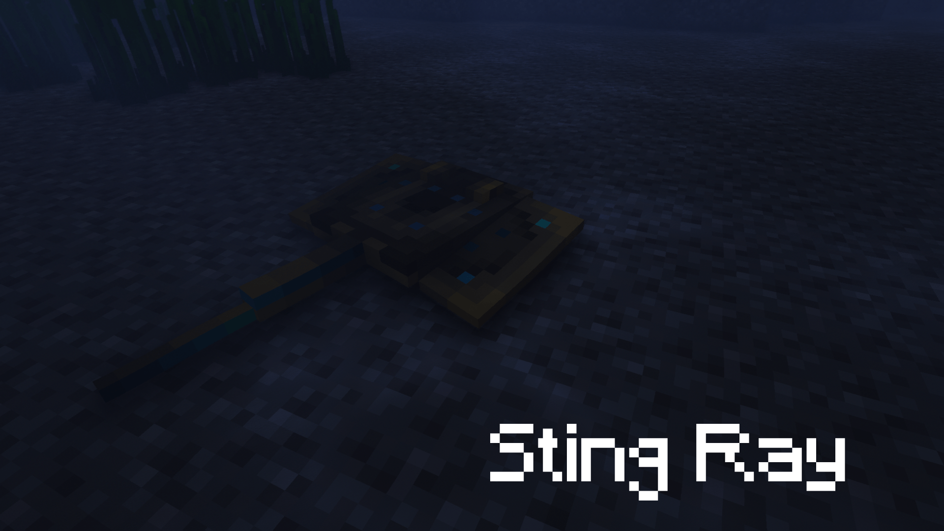 Thumbnail 15