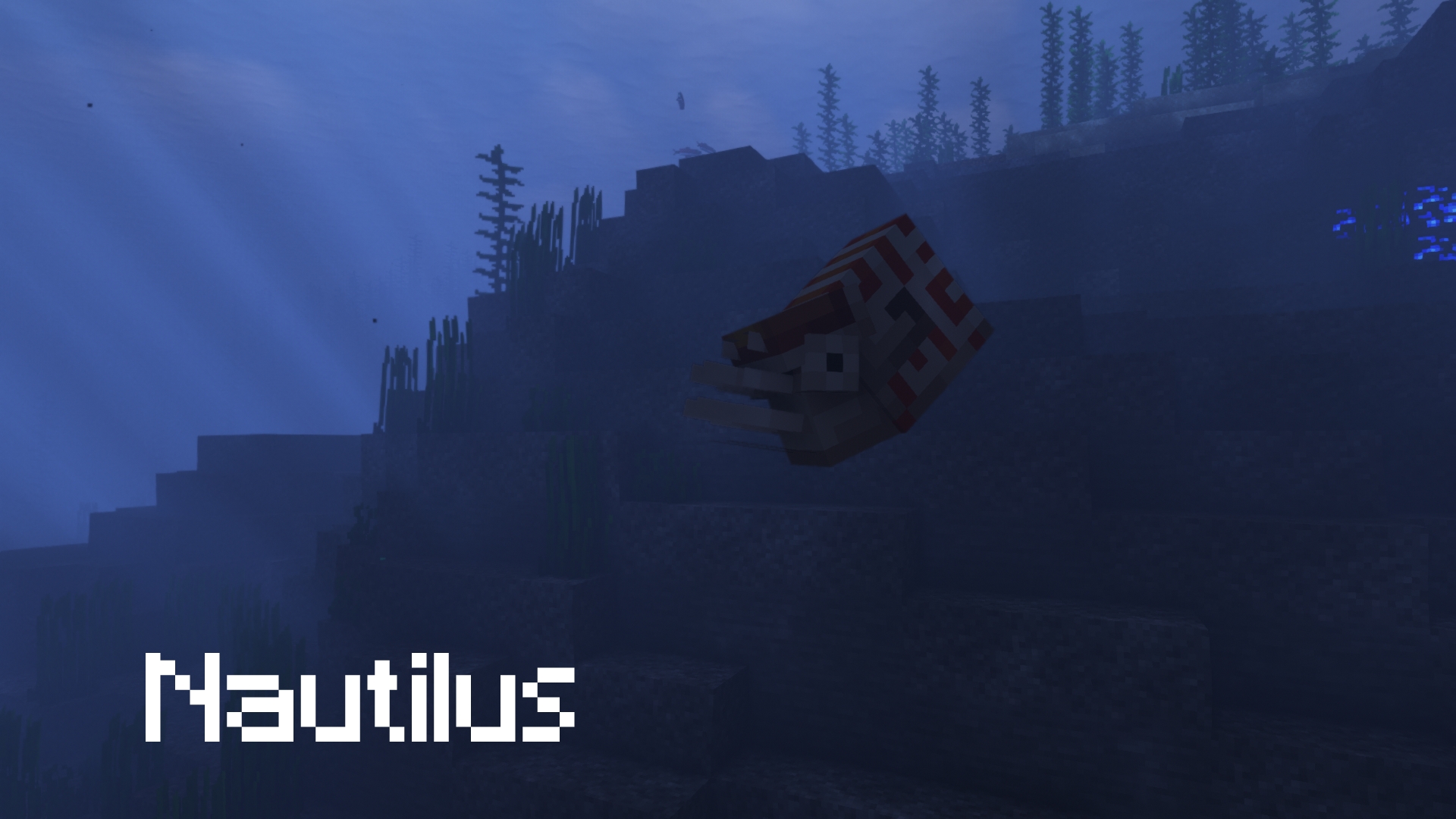 Thumbnail 16