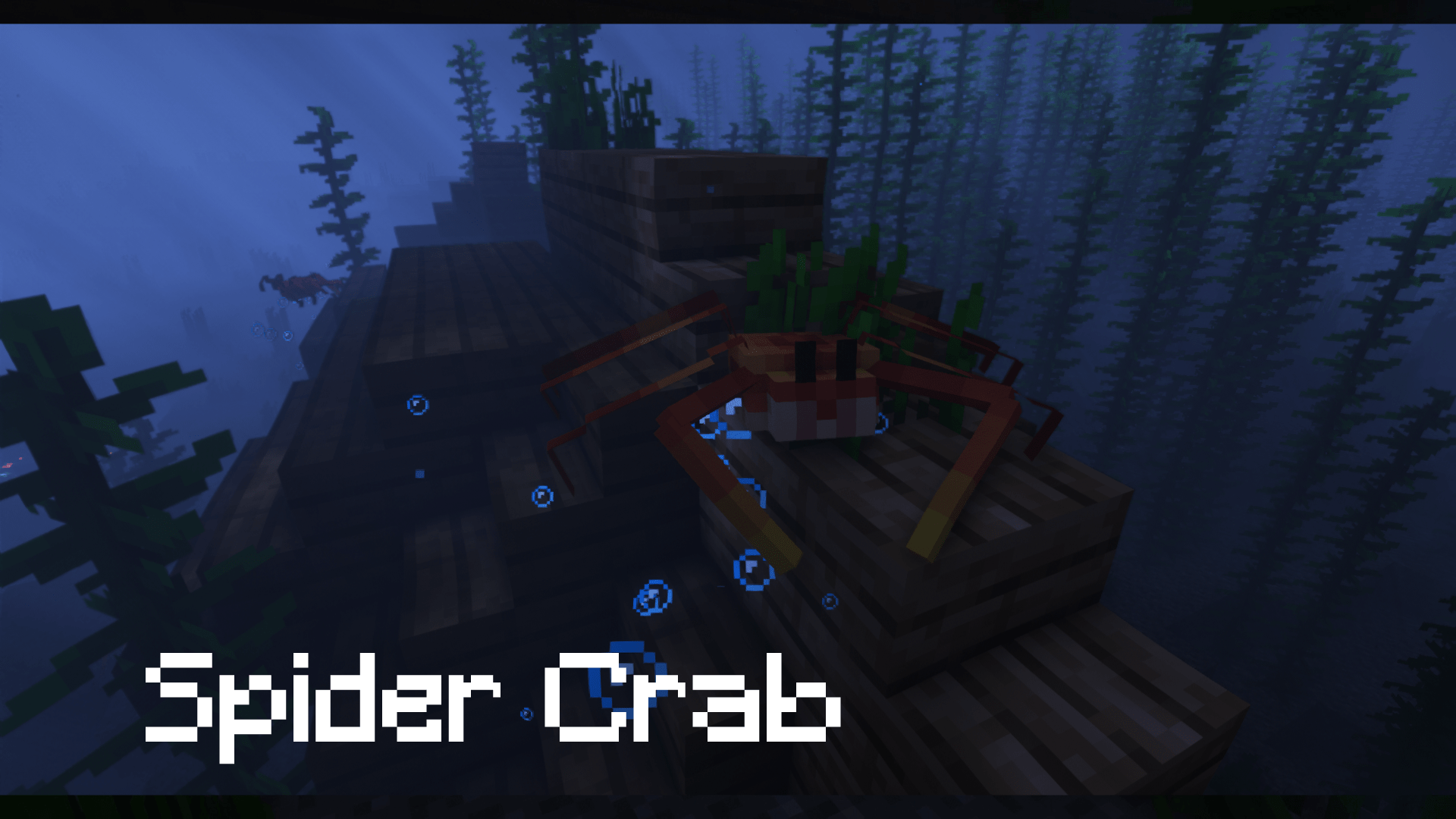 Thumbnail 11