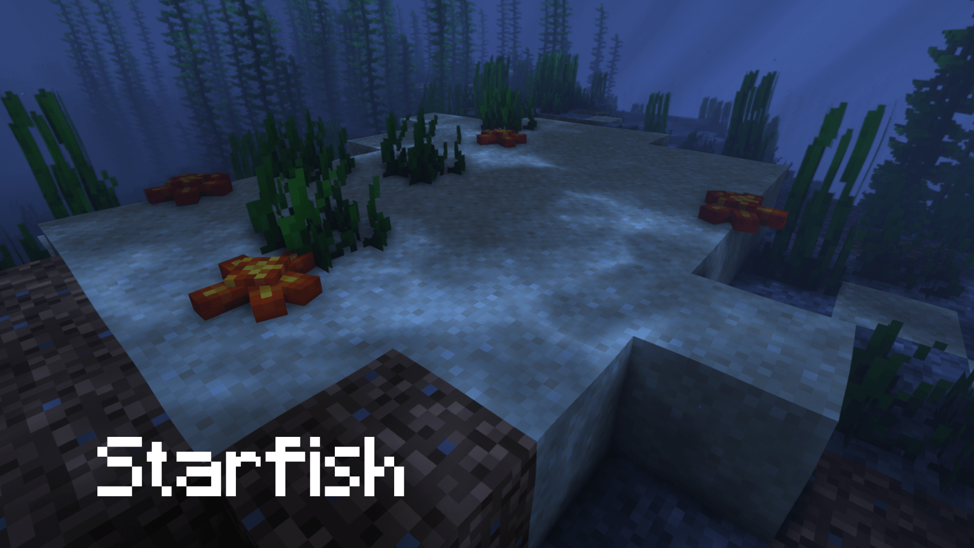 Thumbnail 12