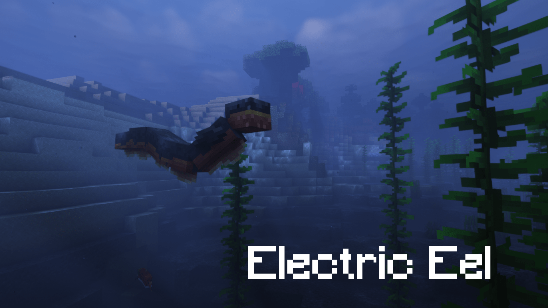Thumbnail 11