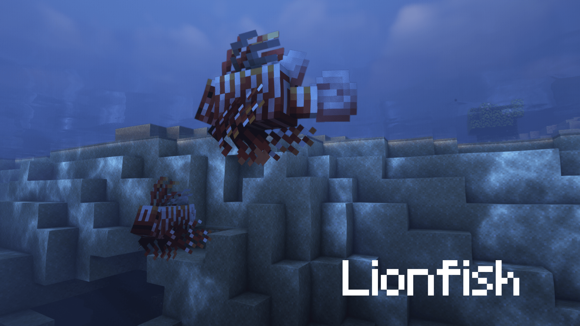 Thumbnail 13