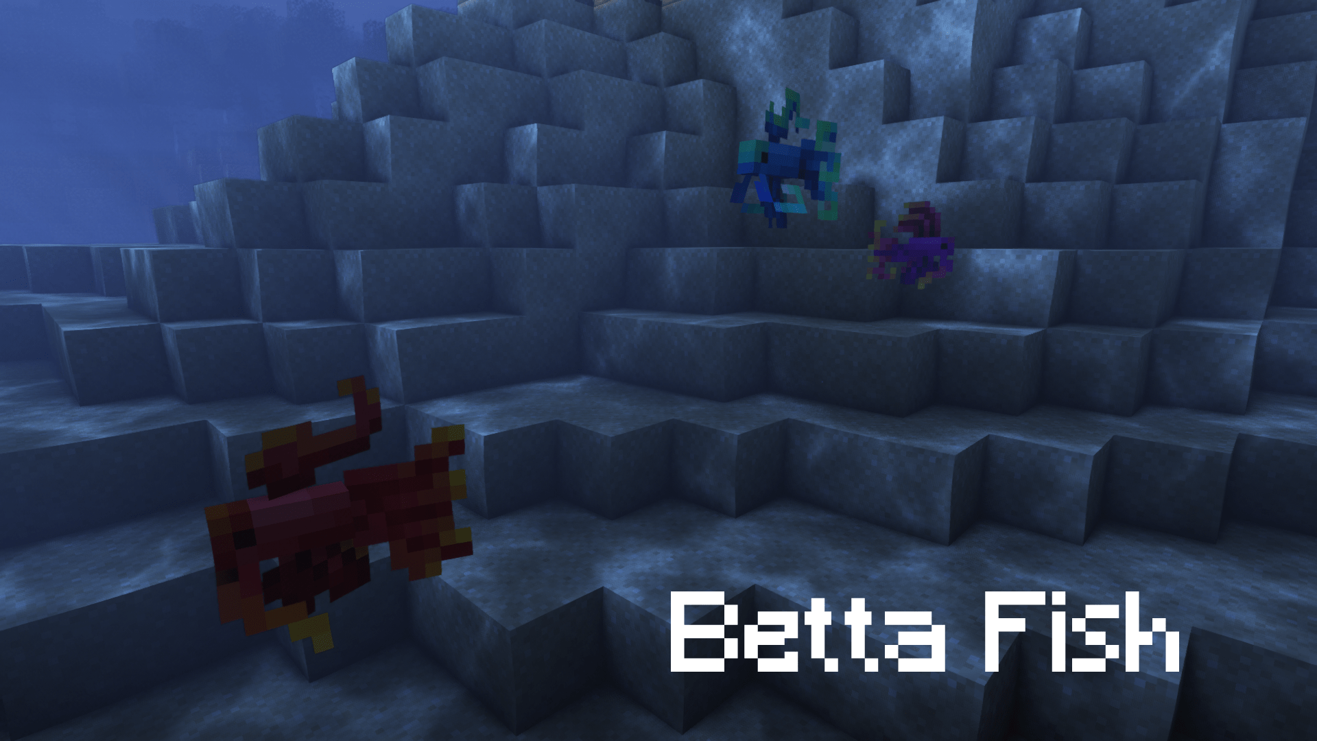 Thumbnail 16