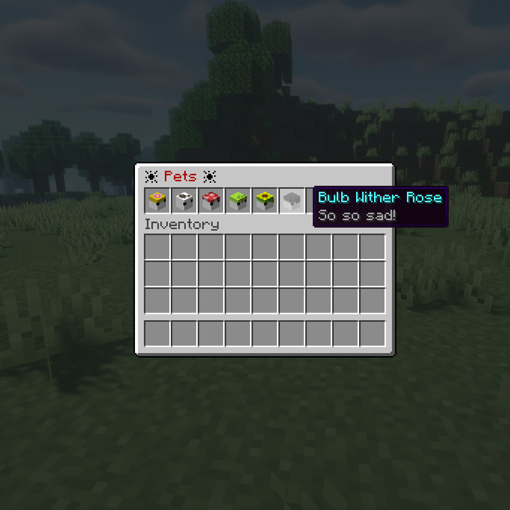 Main Product