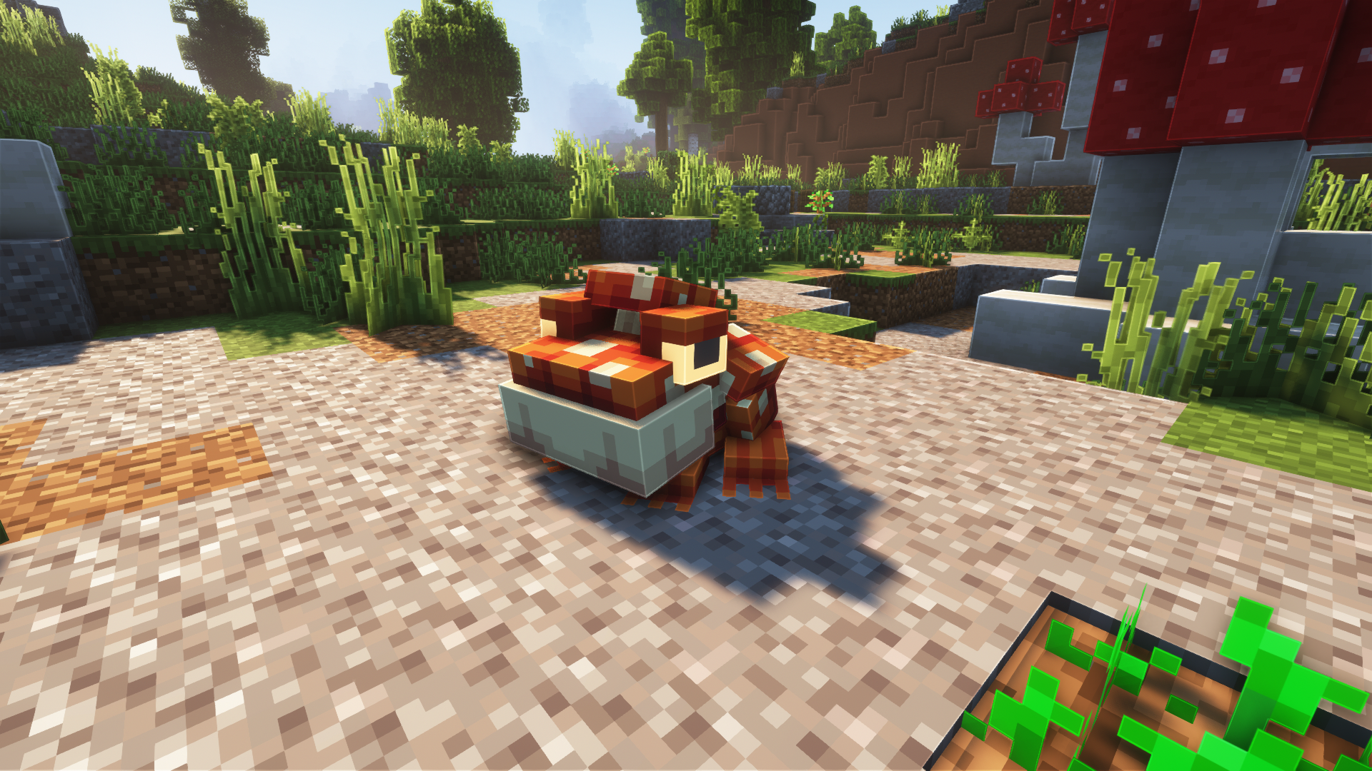 Thumbnail