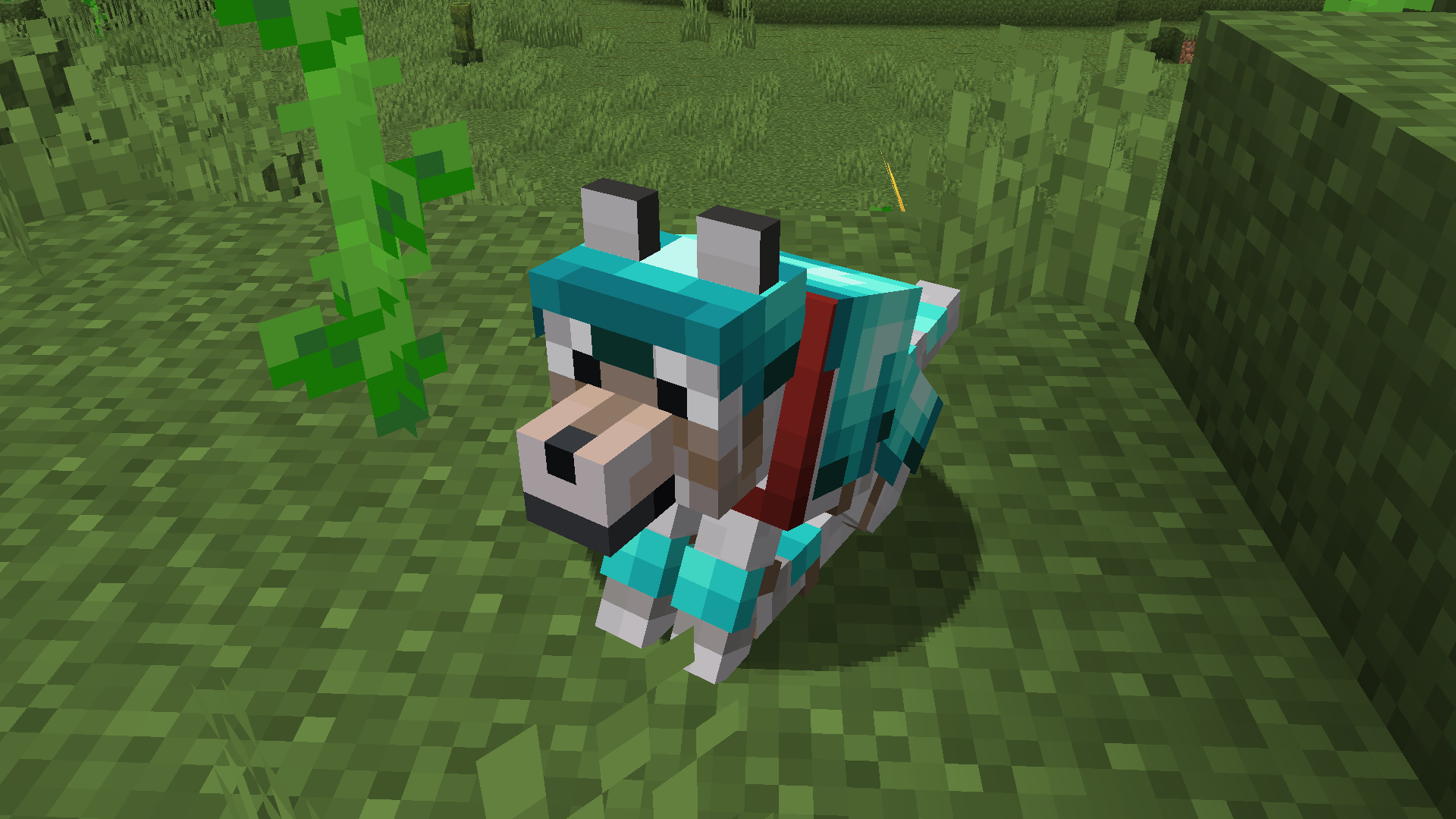 Thumbnail 5