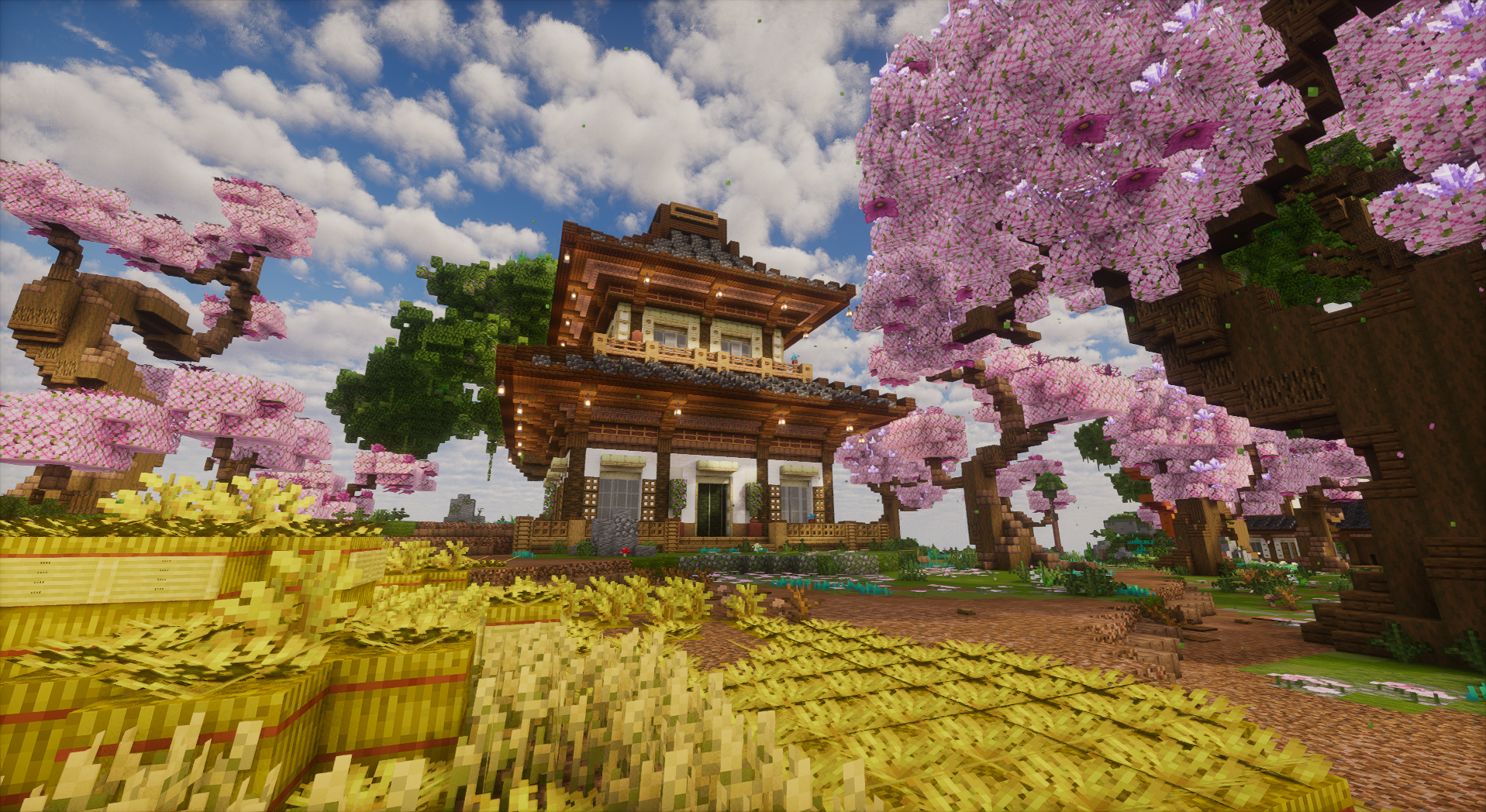 Thumbnail 12
