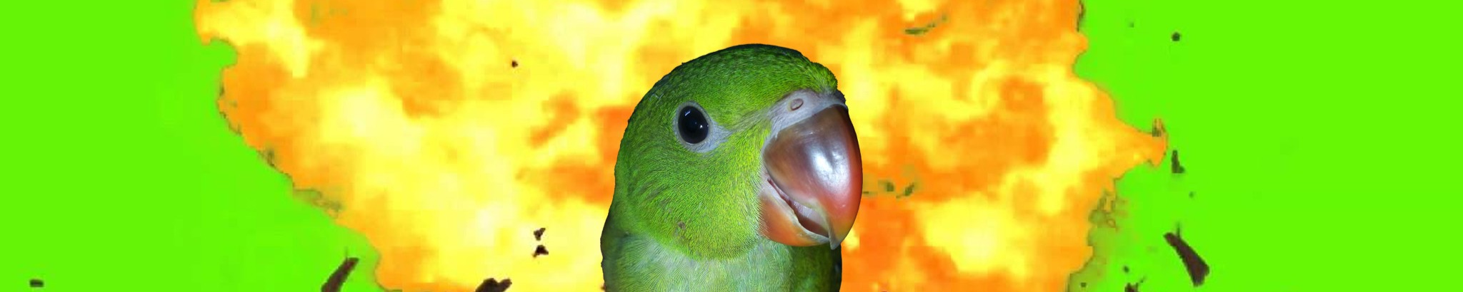 PeekaBomb banner