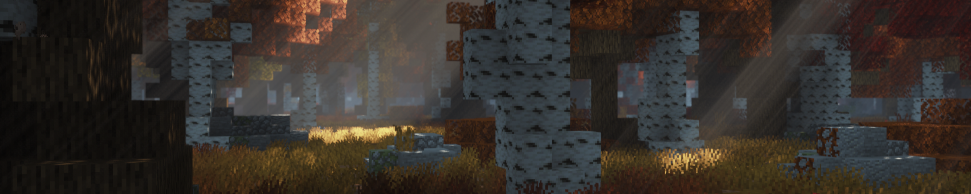 Volmit Software banner