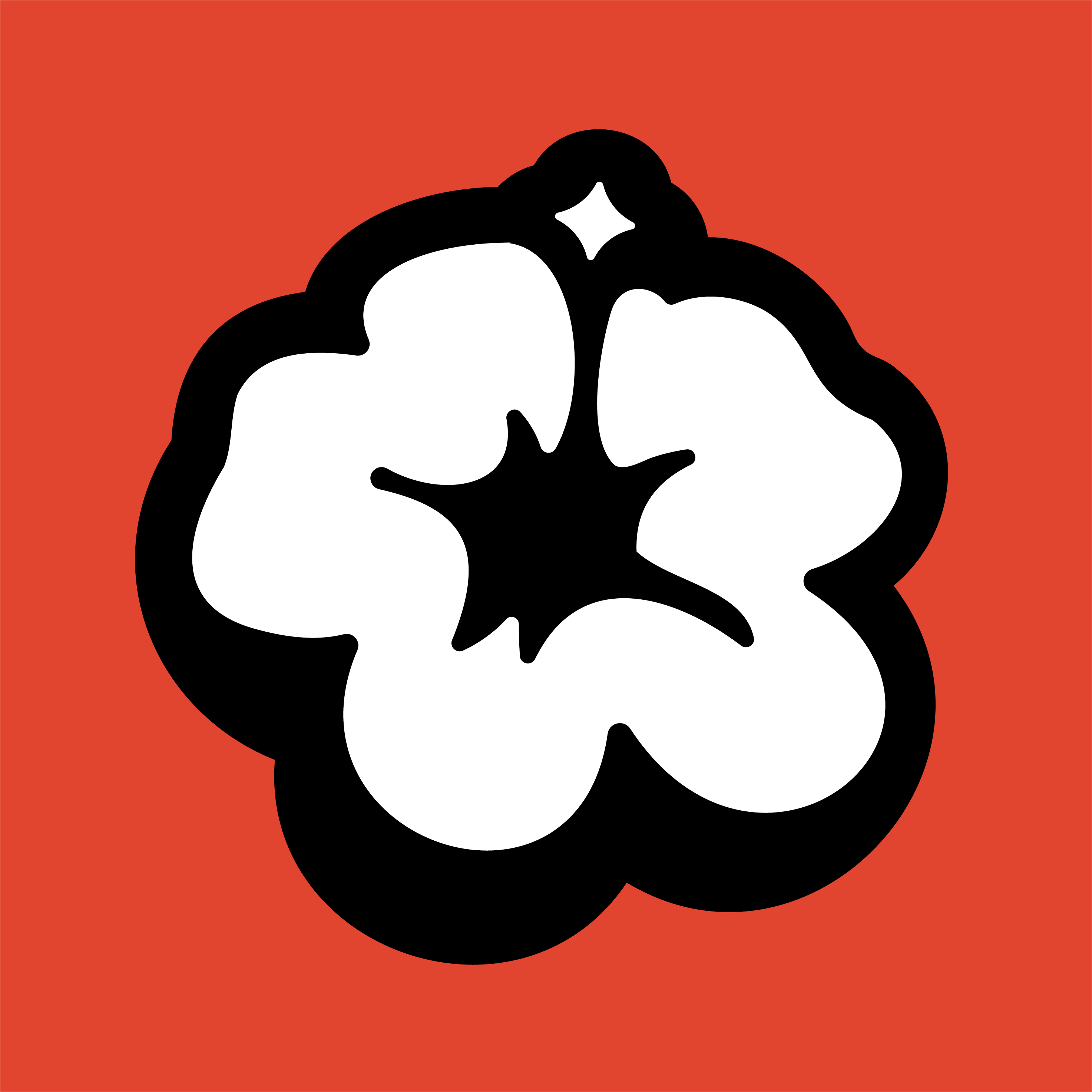 Blütenstudios