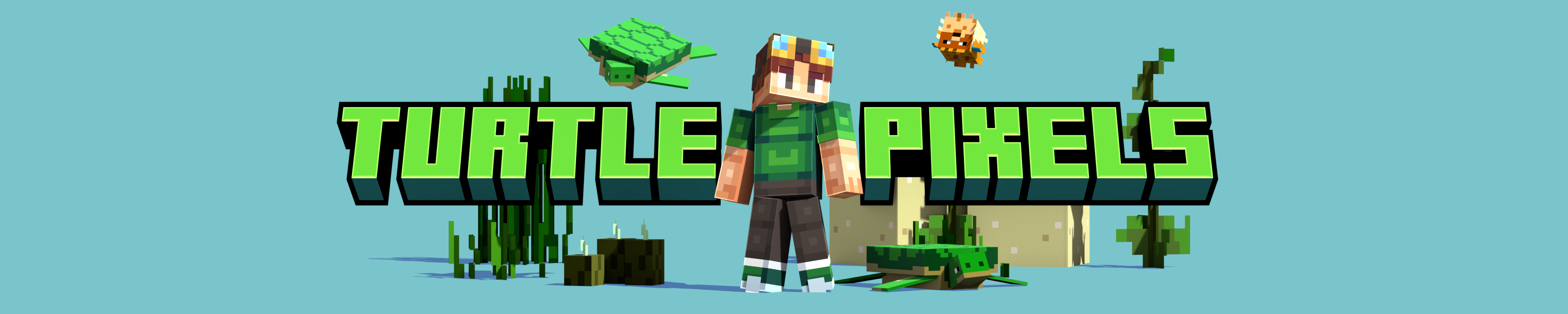 Turtle Pixels banner
