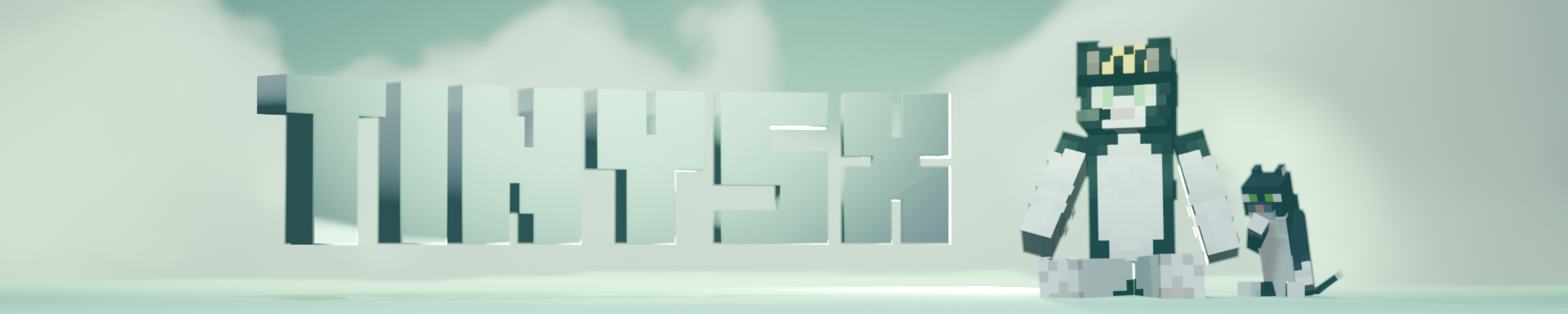 Tinysx Store banner